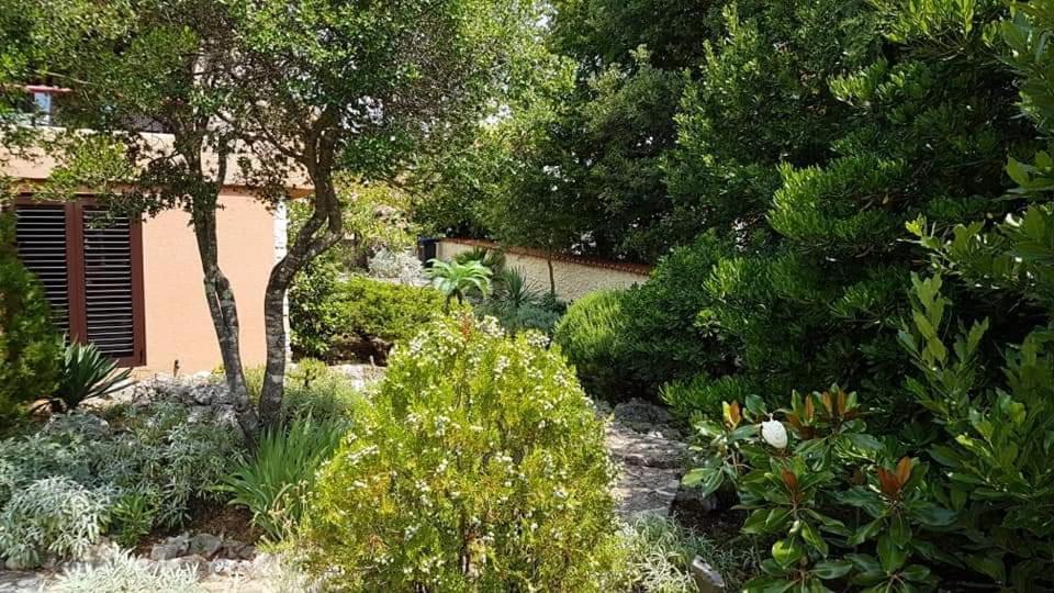 Apartments Villa Temer Pinezići المظهر الخارجي الصورة