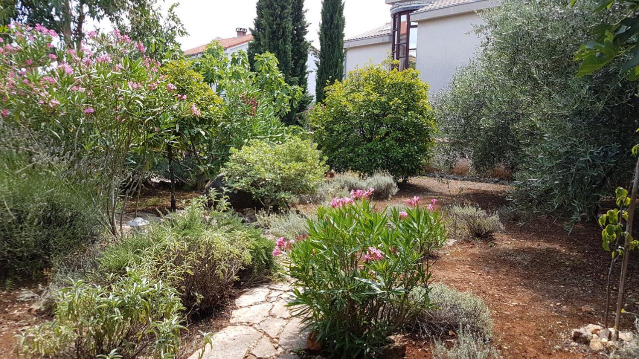 Apartments Villa Temer Pinezići المظهر الخارجي الصورة